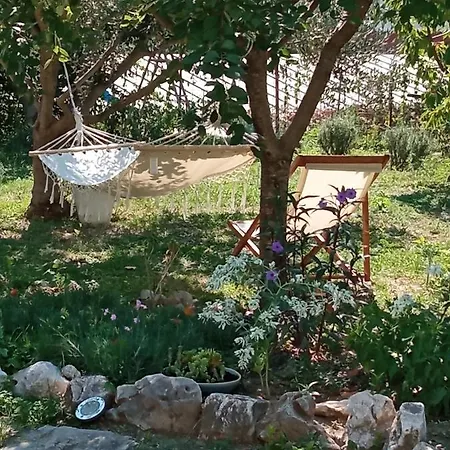 Lucy * Spalato